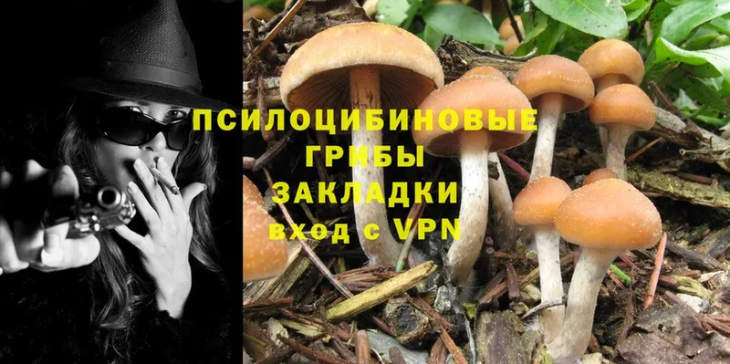 Псилоцибиновые грибы MAGIC MUSHROOMS  Афипский 